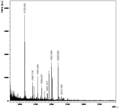 蛋白质质谱分析