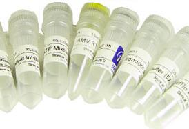 CAS:95311-97-0,GANODERIC ACID C1(P)(PLEASE CALL)