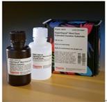 Pierce ECL化学发光底物 美国原装Pierce1 