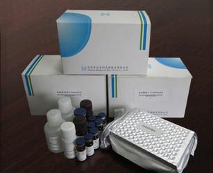 小鼠丙酮酸激酶(PK)ELISA Kit 试剂盒代测免费
