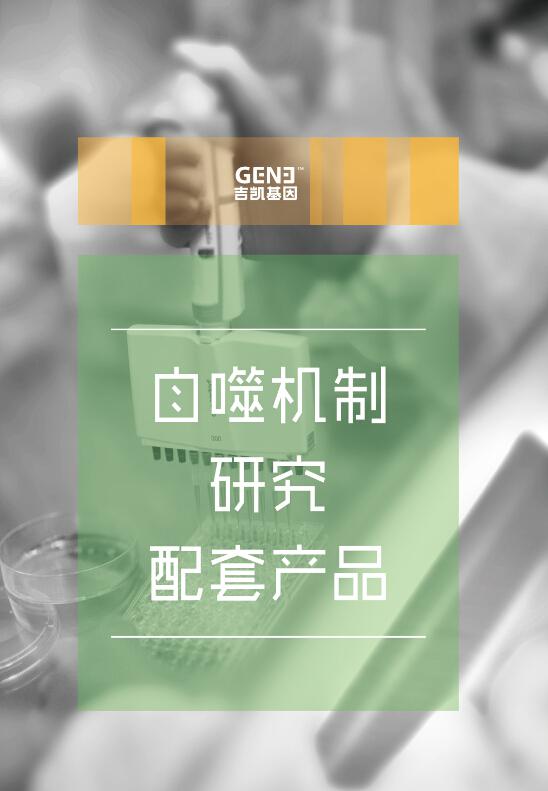 自噬机制研究配套产品服务