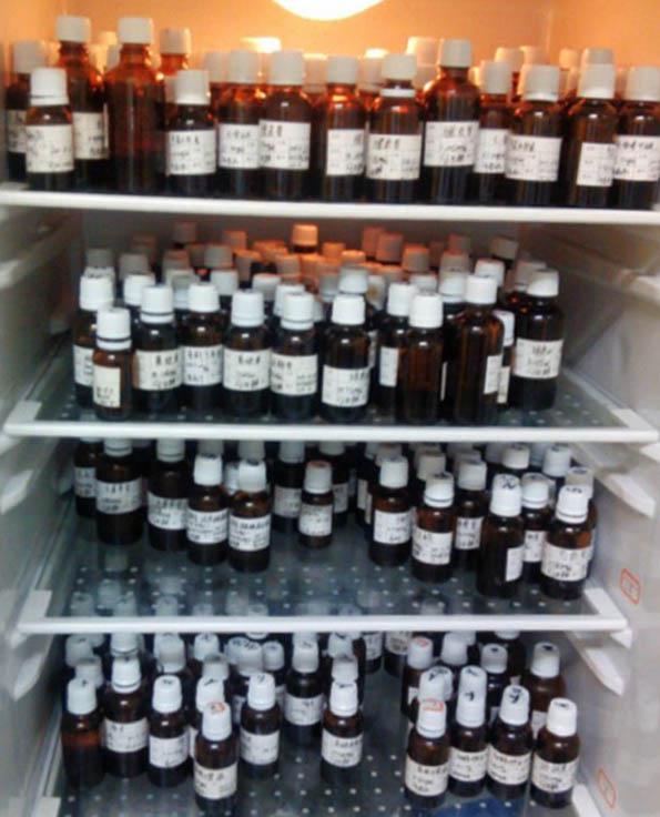 CAS号:81-50-5,1-氨基-4-溴基-2-甲基蒽醌