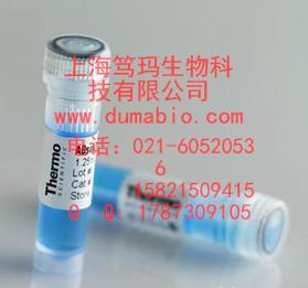 Monoclonal Mouse Anti - Fumonisin *GOLD GOLD*小鼠抗伏马菌素