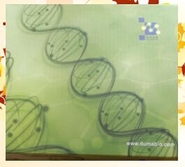 人抗弓形体igm抗体ELISA试剂盒