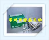 人血管内皮细胞生长因子(VEGF)ELISA试剂盒 现货elisa