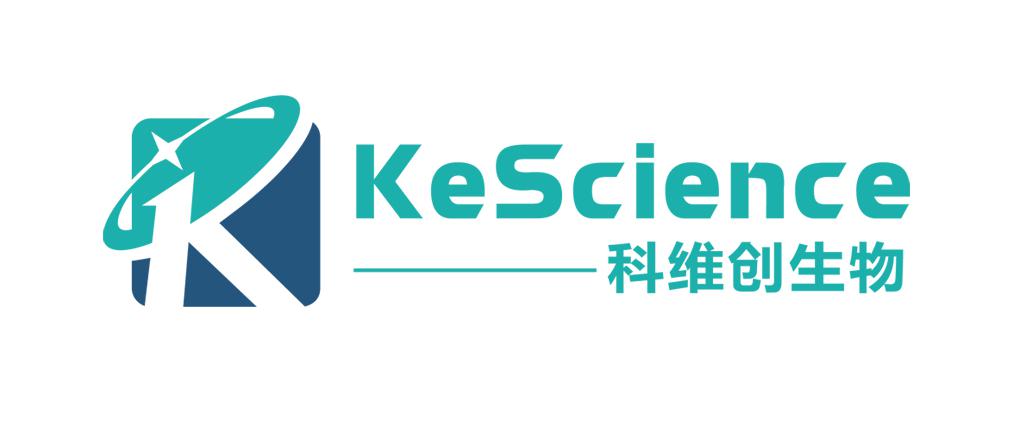 LipoFiter转染试剂——高效转染毒性低