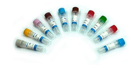 重组小鼠β细胞素/Recombinant Murine Betacellulin (BTC) 