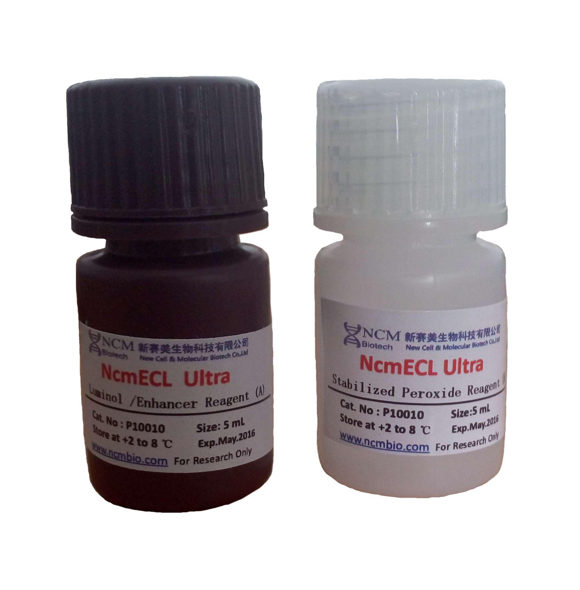 研选超敏ECL化学发光试剂盒