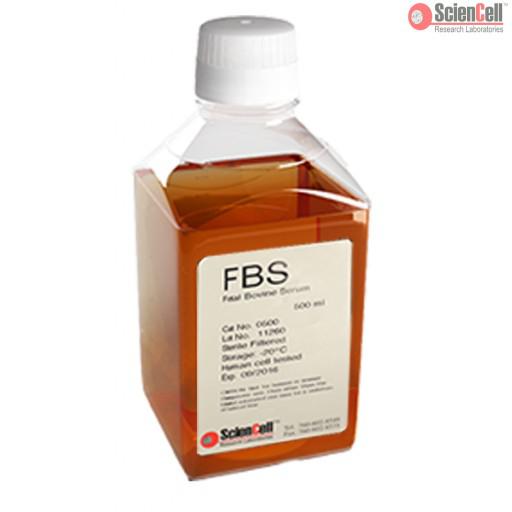 胎牛血清