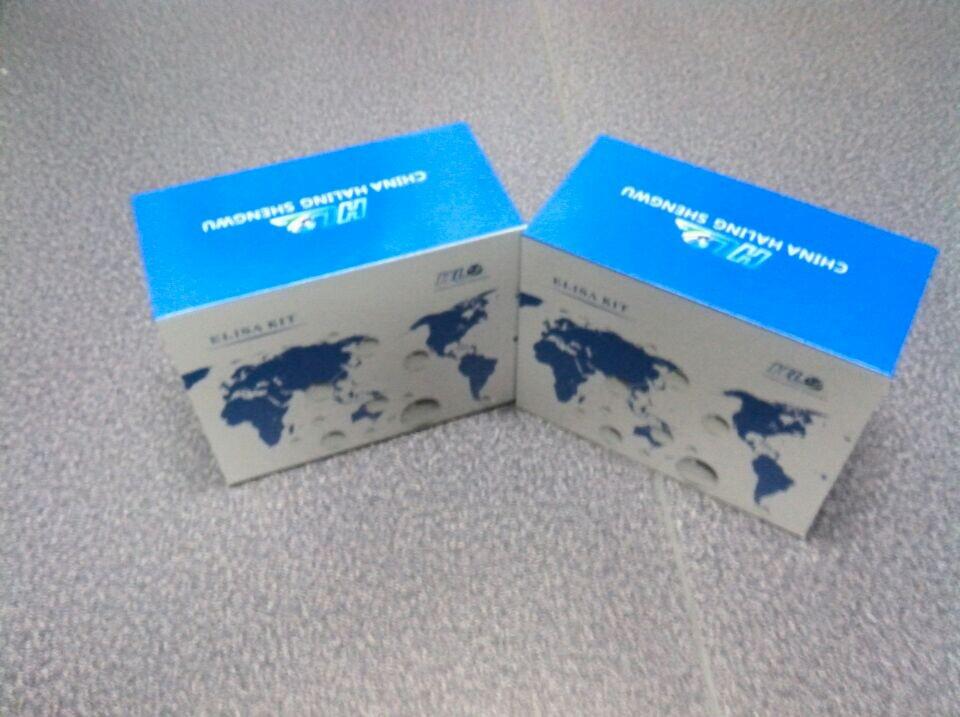 大鼠甲种胎儿球蛋白/甲胎蛋白(AFP)酶联免疫试剂盒