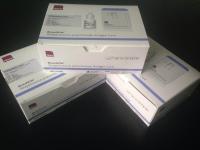 A群链球菌快速检测试剂盒 