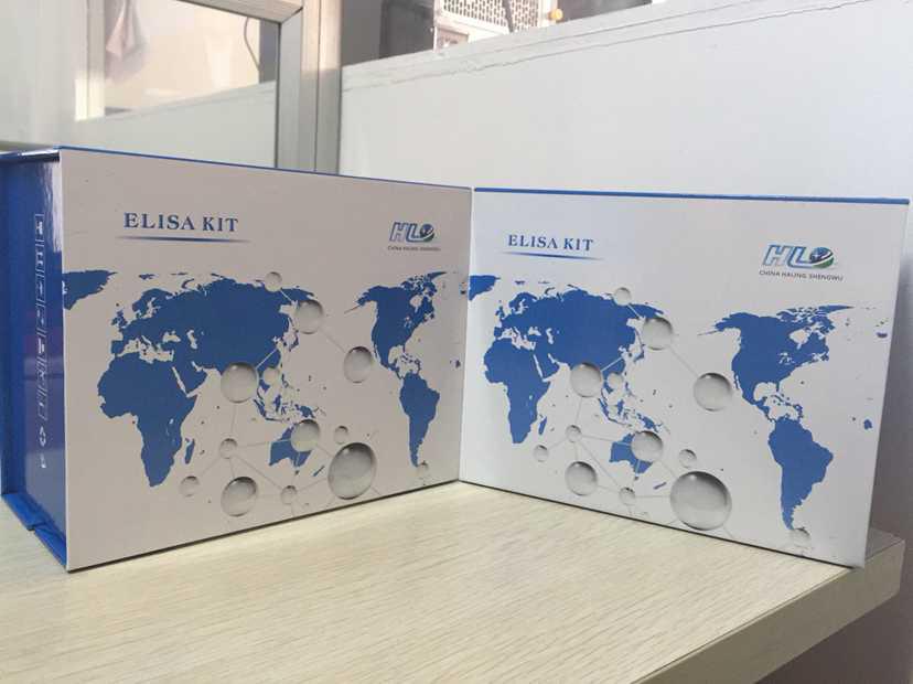 兔心肌特异性肌钙蛋白T(cTnT)ELISA酶免试剂盒