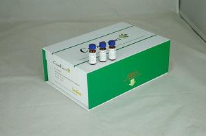 Ganoderic acid C6对照品(标准品) | CAS: 105742-76-5