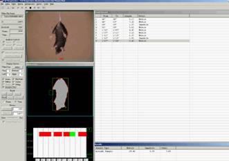动物（大小鼠）悬尾实验