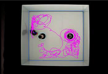 转圈实验行为自动分析系统