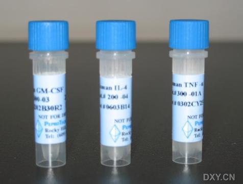 重组人角质细胞生长因子7  Recombinant Human KGF（FGF-7） 100-19