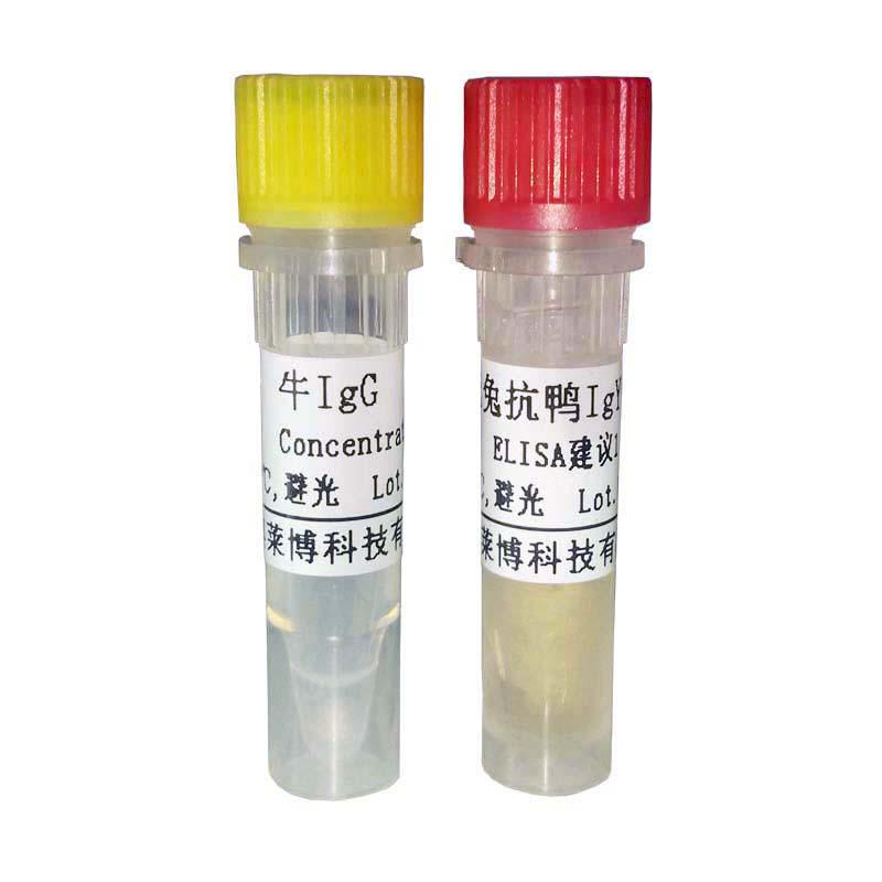 单纯疱疹病毒1和2抗体