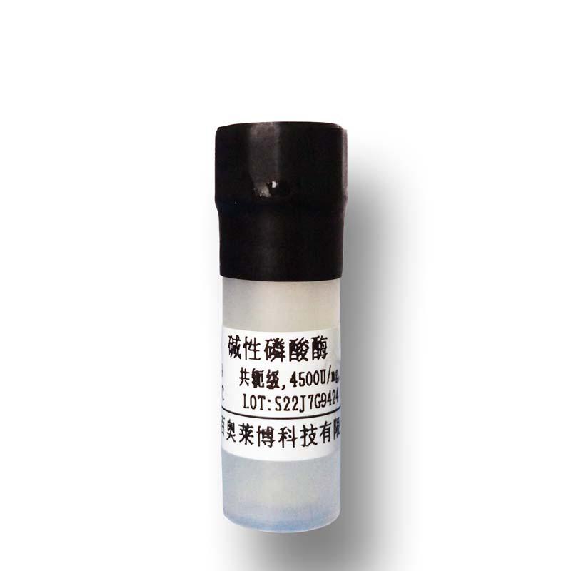 大鼠外周血淋巴细胞分离液厂家现货