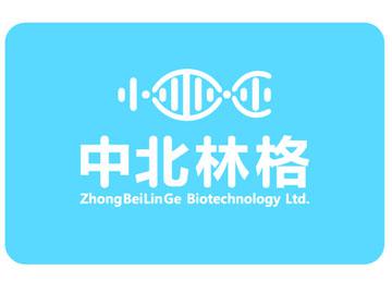 anti-Mouse Fetuin Antibody