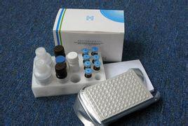 人大内皮素(Big ET)酶联免疫检测试剂盒