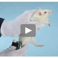 PAM压力应用测量系统