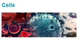 人口腔鳞状细胞癌