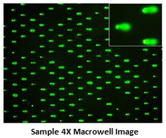Comet Analysis Software--彗星实验分析软件