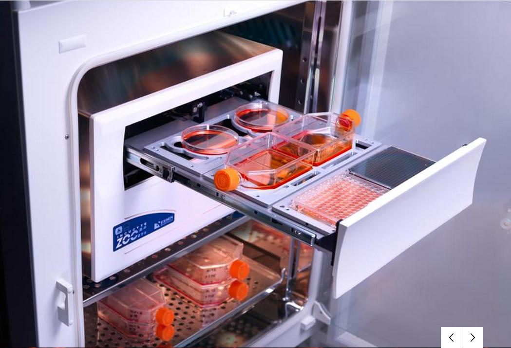 细胞划痕实验服务