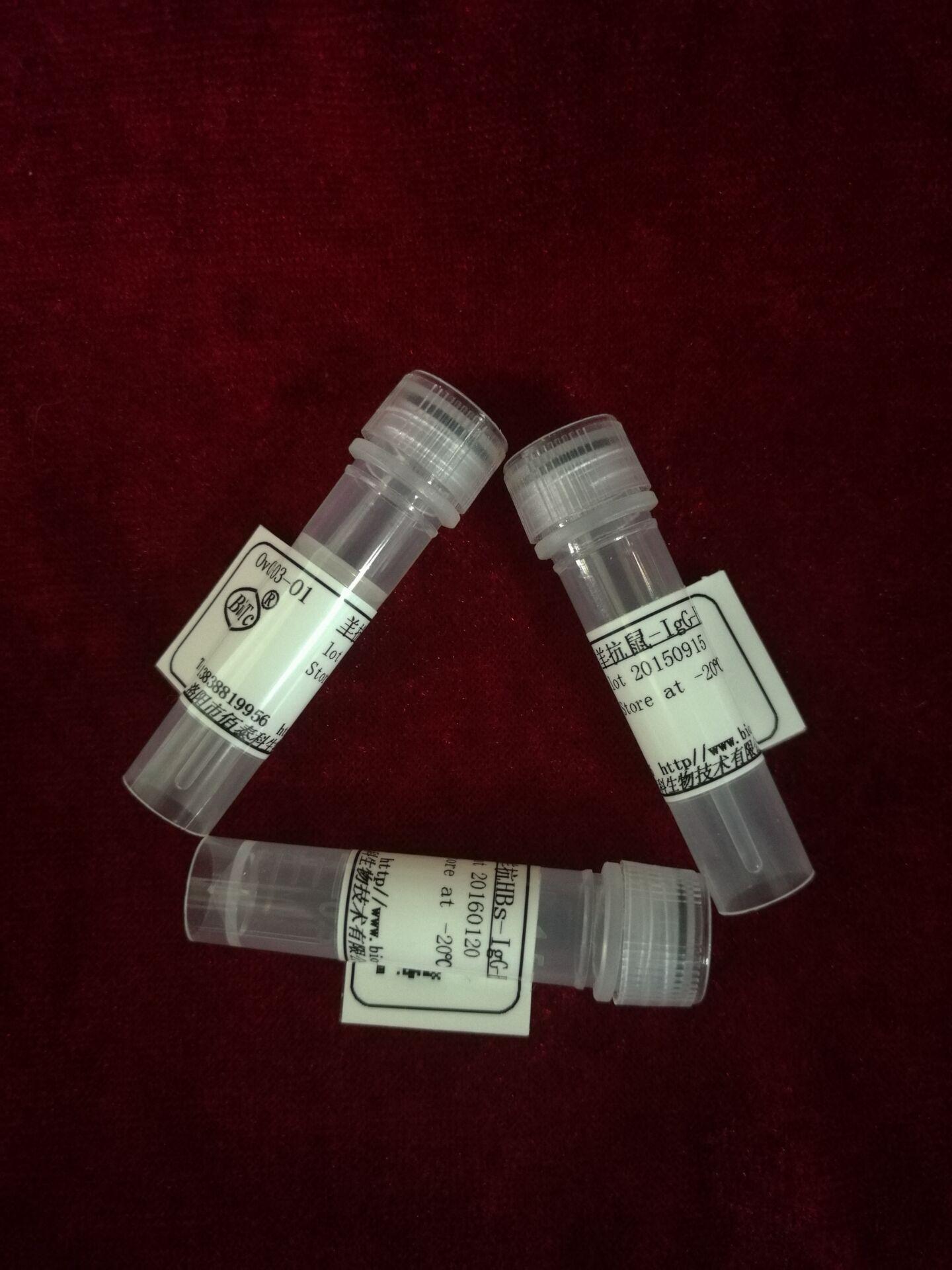 兔抗鸡IgY,IgG(蛋黄型）