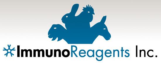 Goat anti-Mouse IgG (H&L) - F(ab)'2 Fragment, DyLight® 550 Conjugate