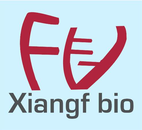 大鼠肾小球系膜细胞 hbzy-1