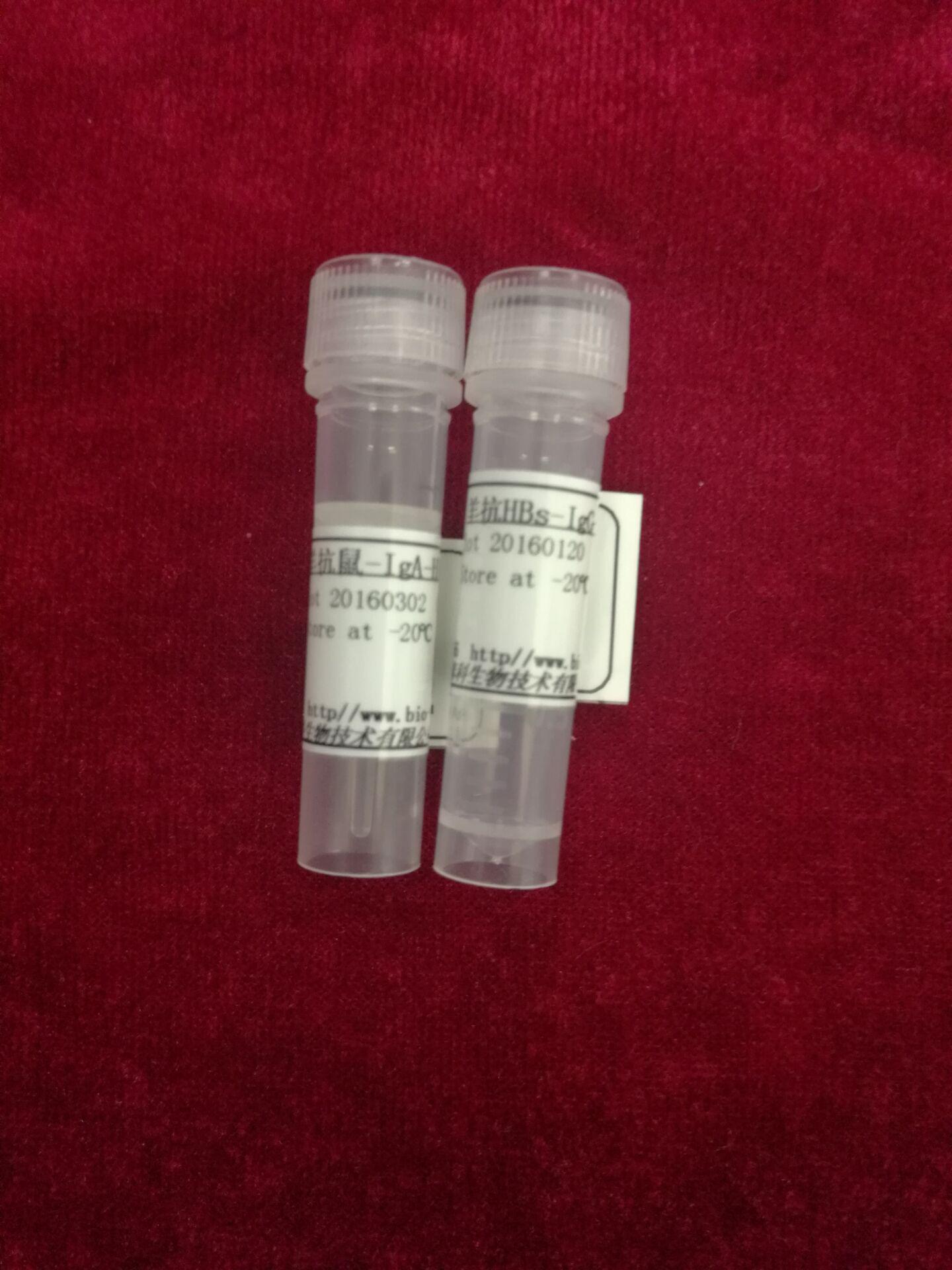 羊抗兔IgG,HRP标记