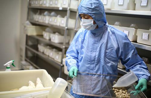 饮食诱导性肥胖动物模型——技术服务