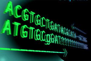 PCR定点突变和基因定点突变