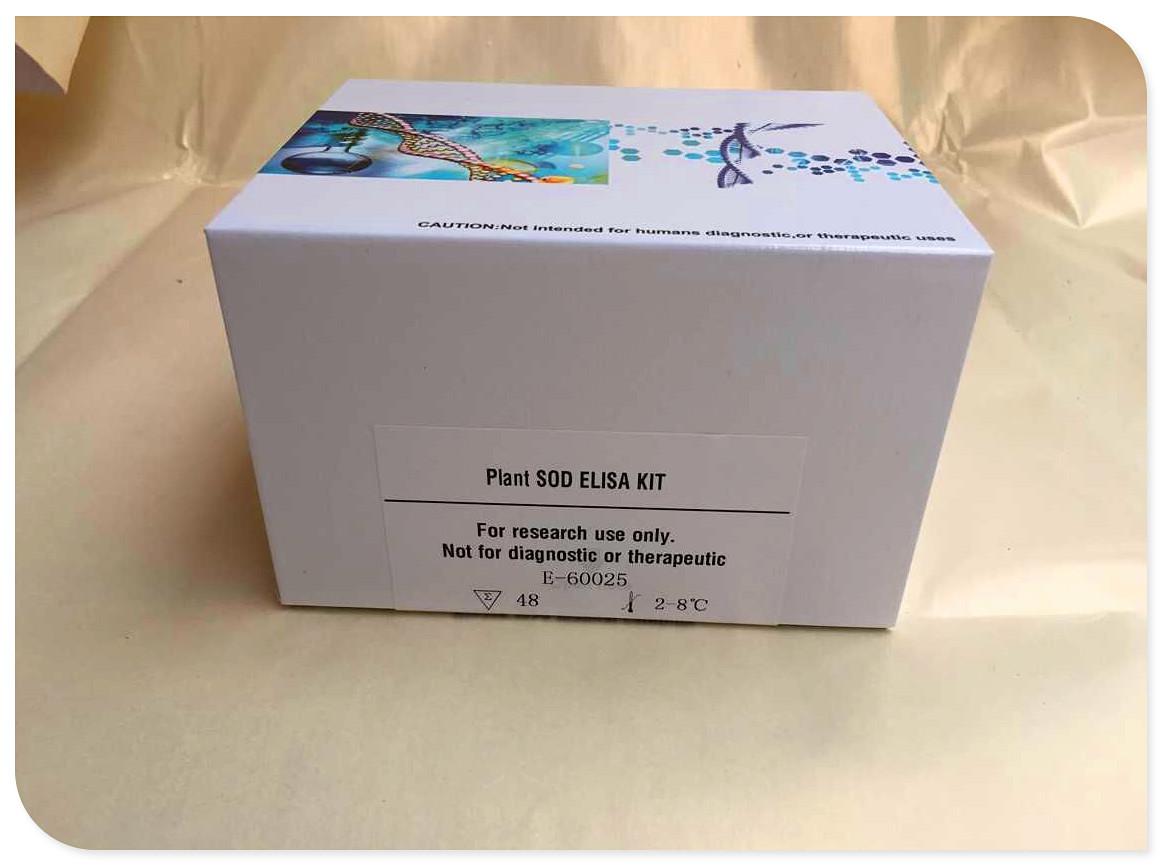 大鼠P物质受体ELISA检测试剂盒