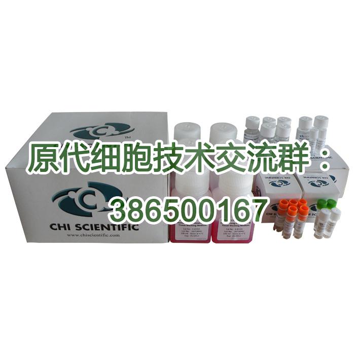 大鼠心脏微血管内皮细胞试剂盒