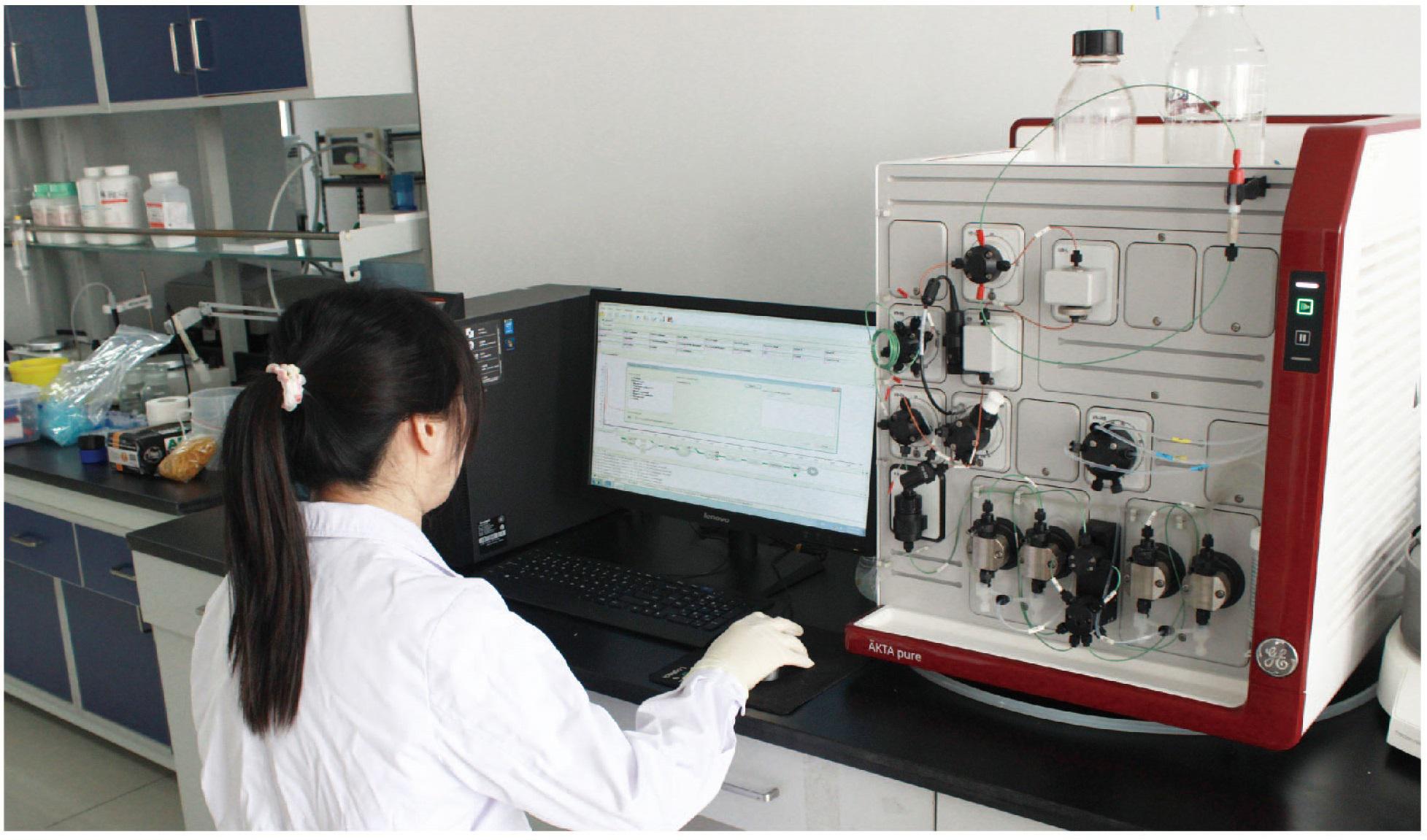 重组蛋白表达与纯化服务