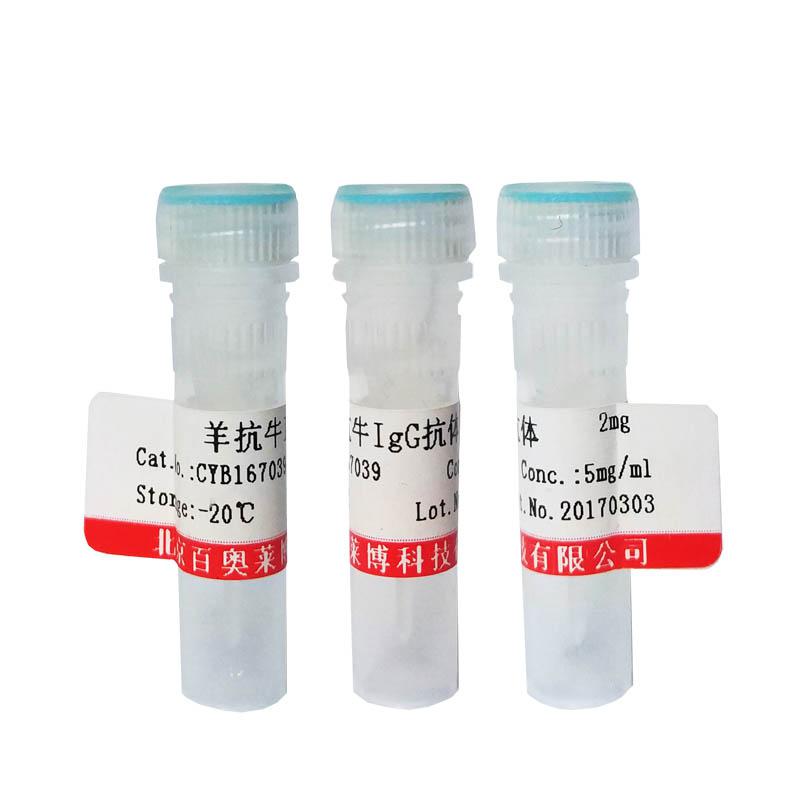 乙醇脱氢酶6抗体厂家现货