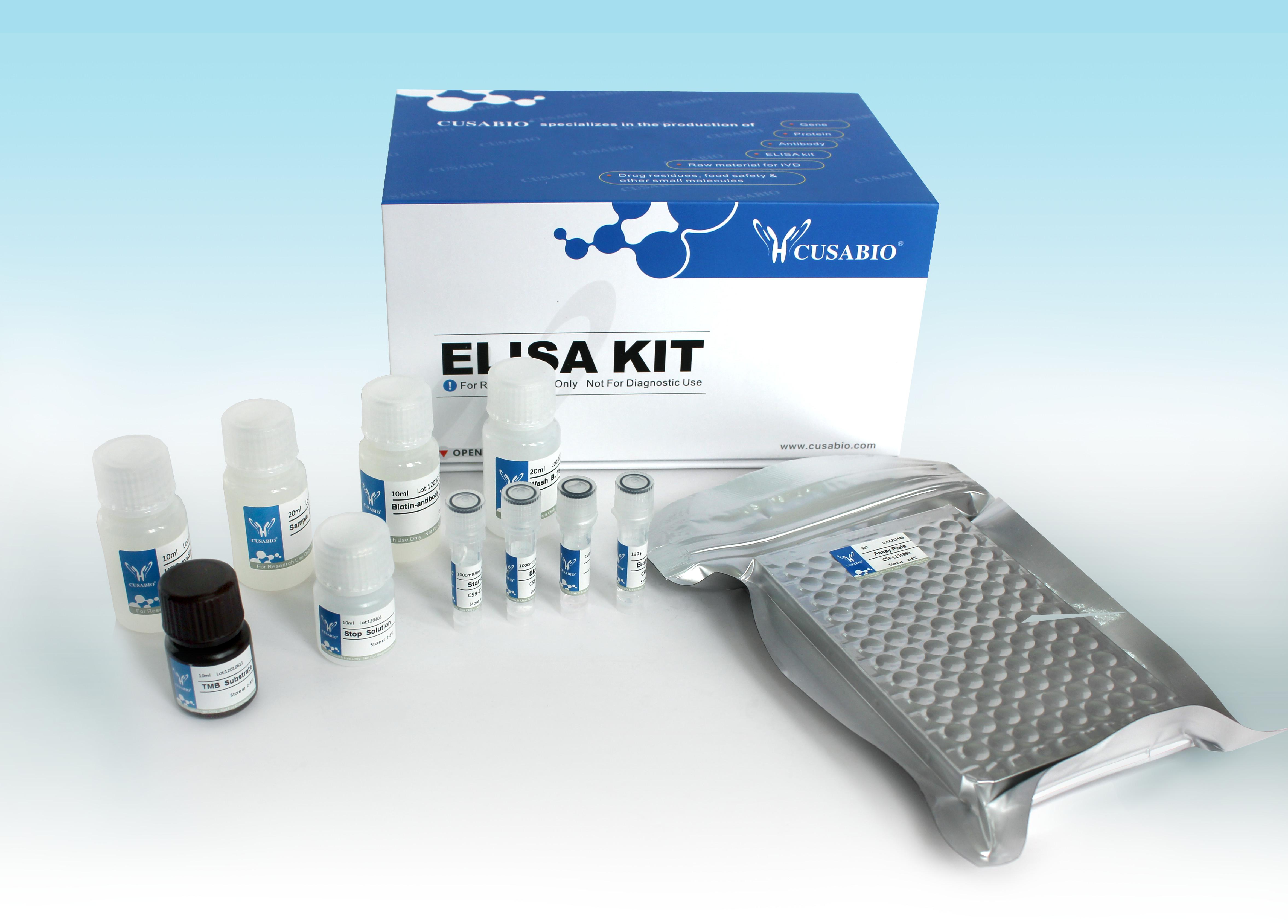 小鼠抗内皮细胞抗体(AECA)ELISA Kit