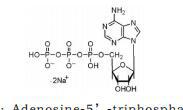 三磷酸腺苷二钠