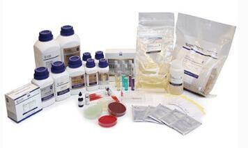 无菌均质袋（带整张滤膜）