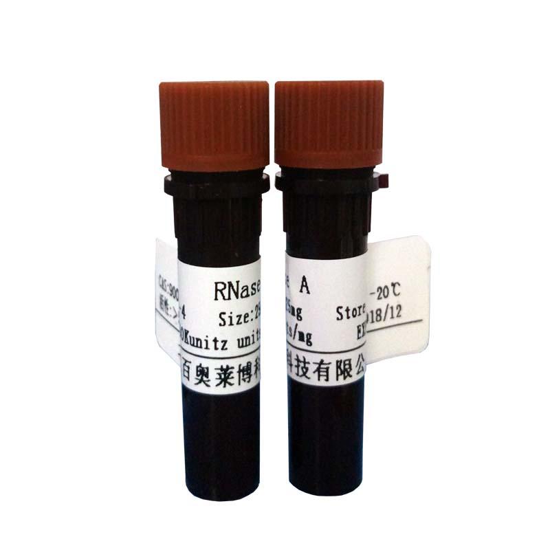 猴骨髓单核细胞分离液多少钱