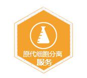 原代细胞分离服务