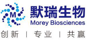 ECL 发光液（超敏）