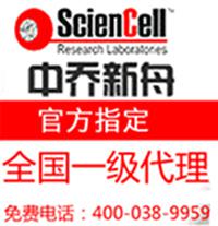 人子宫成纤维细胞pellets