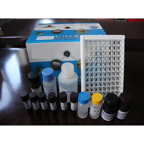 人视网膜母细胞瘤蛋白1(RB1)ELISA kit 供应