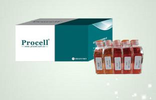 兔脂肪间充质干细胞