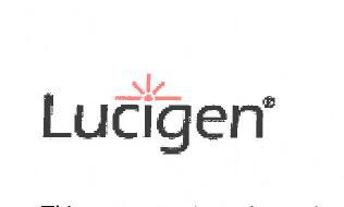 SUMO Express Protease