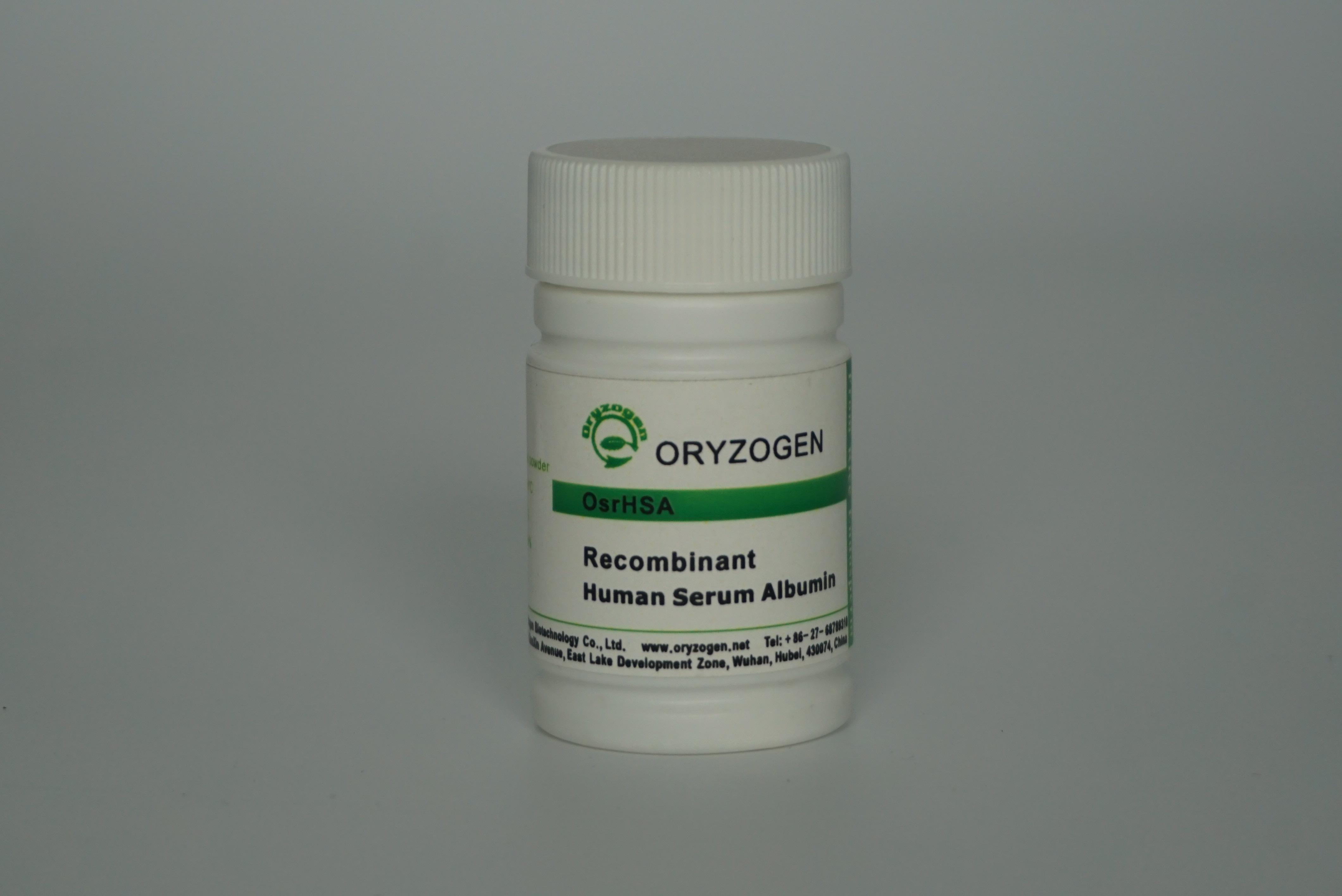 封闭试剂-白蛋白