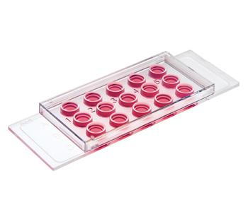 研选IBIDI易必迪µ-Slide 血管生成载玻片